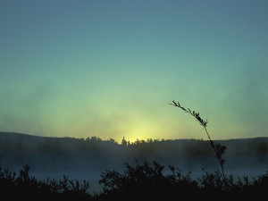 Dawn Fog at Wye Lake