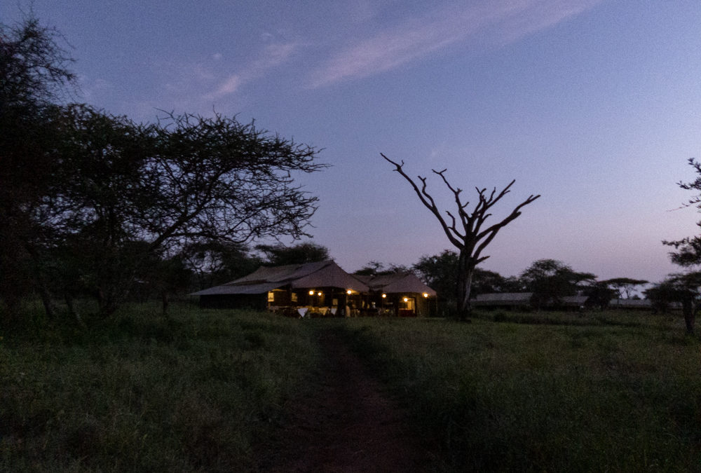 Glamping it Up on the Serengeti Plains