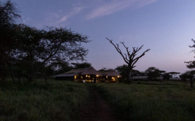Glamping it Up on the Serengeti Plains