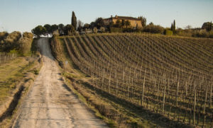 Tuscan vineyards and farmhouse