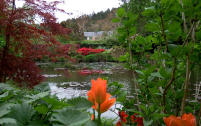 Bon Appetit:  Giverny in Spring