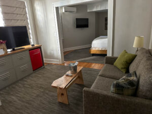 Hotel sitting room with trendy fridge and rustic finishes